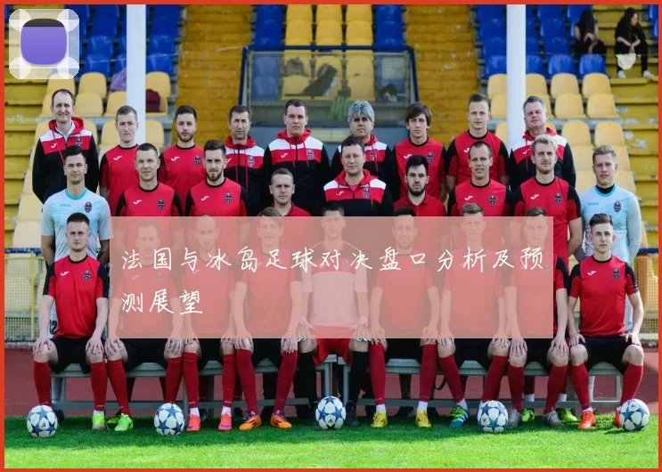 法国与冰岛足球对决盘口分析及预测展望