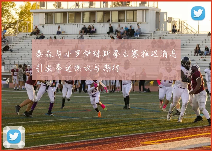 泰森与小罗伊琼斯拳击赛推迟消息引发拳迷热议与期待