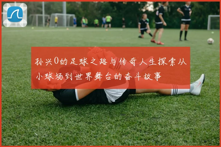 孙兴O的足球之路与传奇人生探索从小球场到世界舞台的奋斗故事