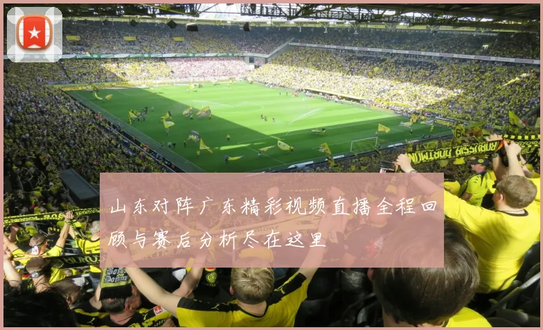 山东对阵广东精彩视频直播全程回顾与赛后分析尽在这里