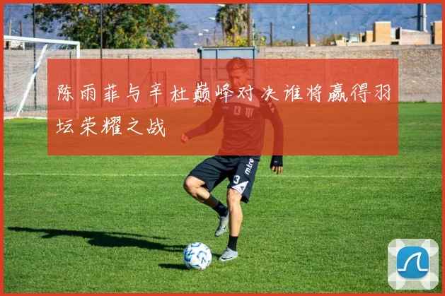 陈雨菲与辛杜巅峰对决谁将赢得羽坛荣耀之战